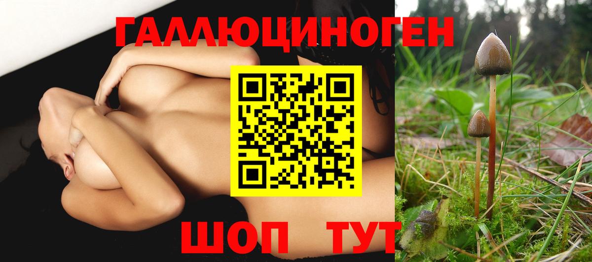 Псилоцибиновые грибы мухоморы Ижевск